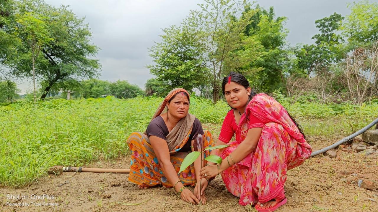 एक पेड़ माँ के नाम अभियान: 22 अगस्त को एक दिवसीय कार्यक्रम आयोजित