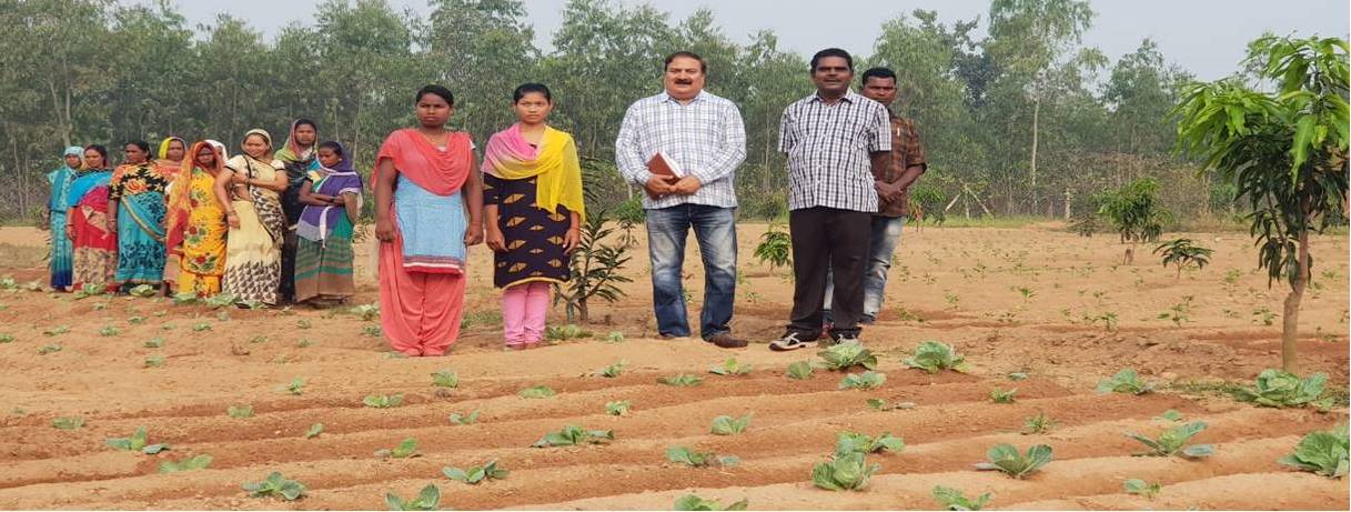 महिलाओं की आर्थिक समृद्धि की नई इबारत लिखता छत्तीसगढ़ वन विभाग