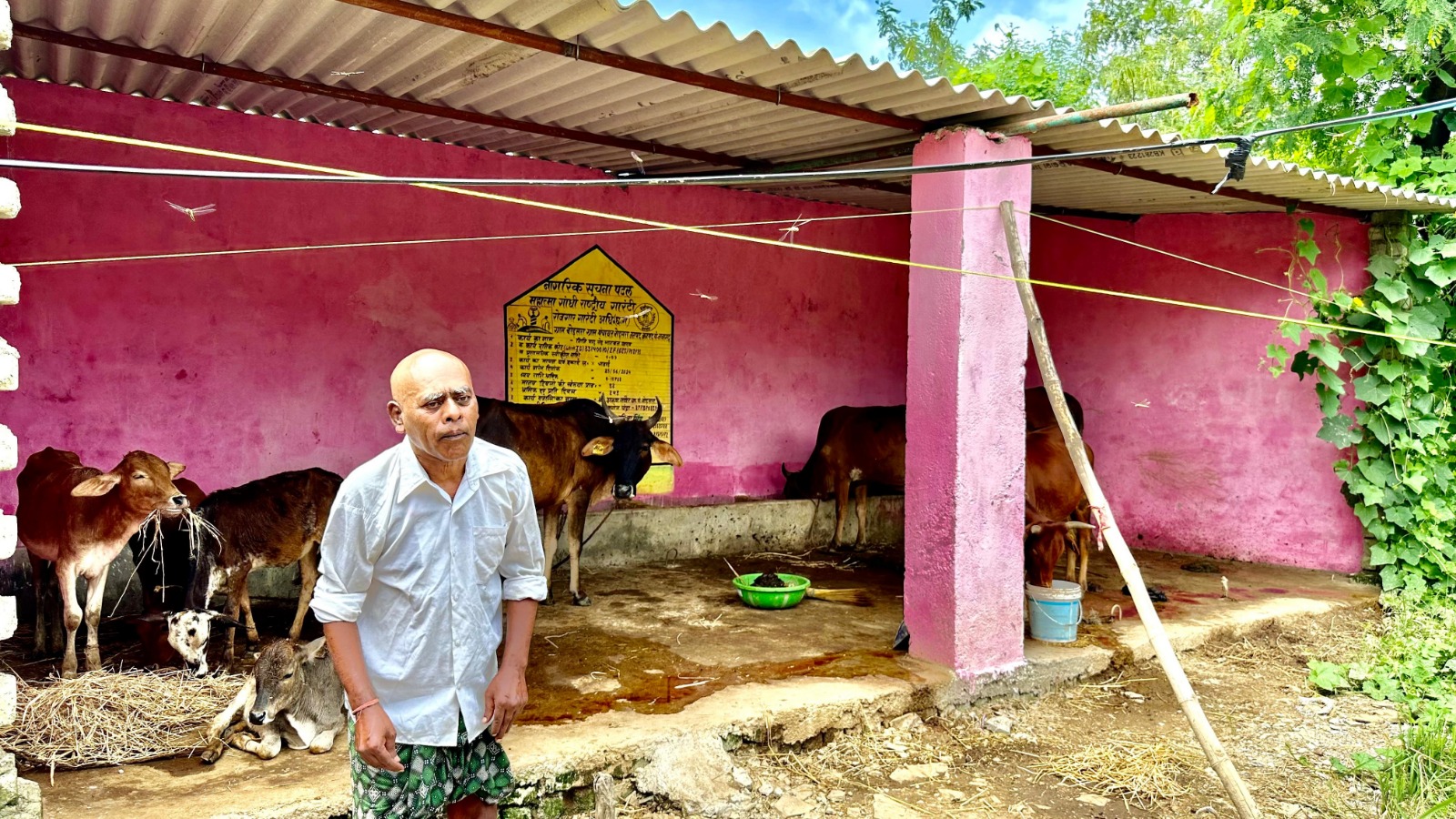 मनरेगा से बना गांव का पहला पशु शेड