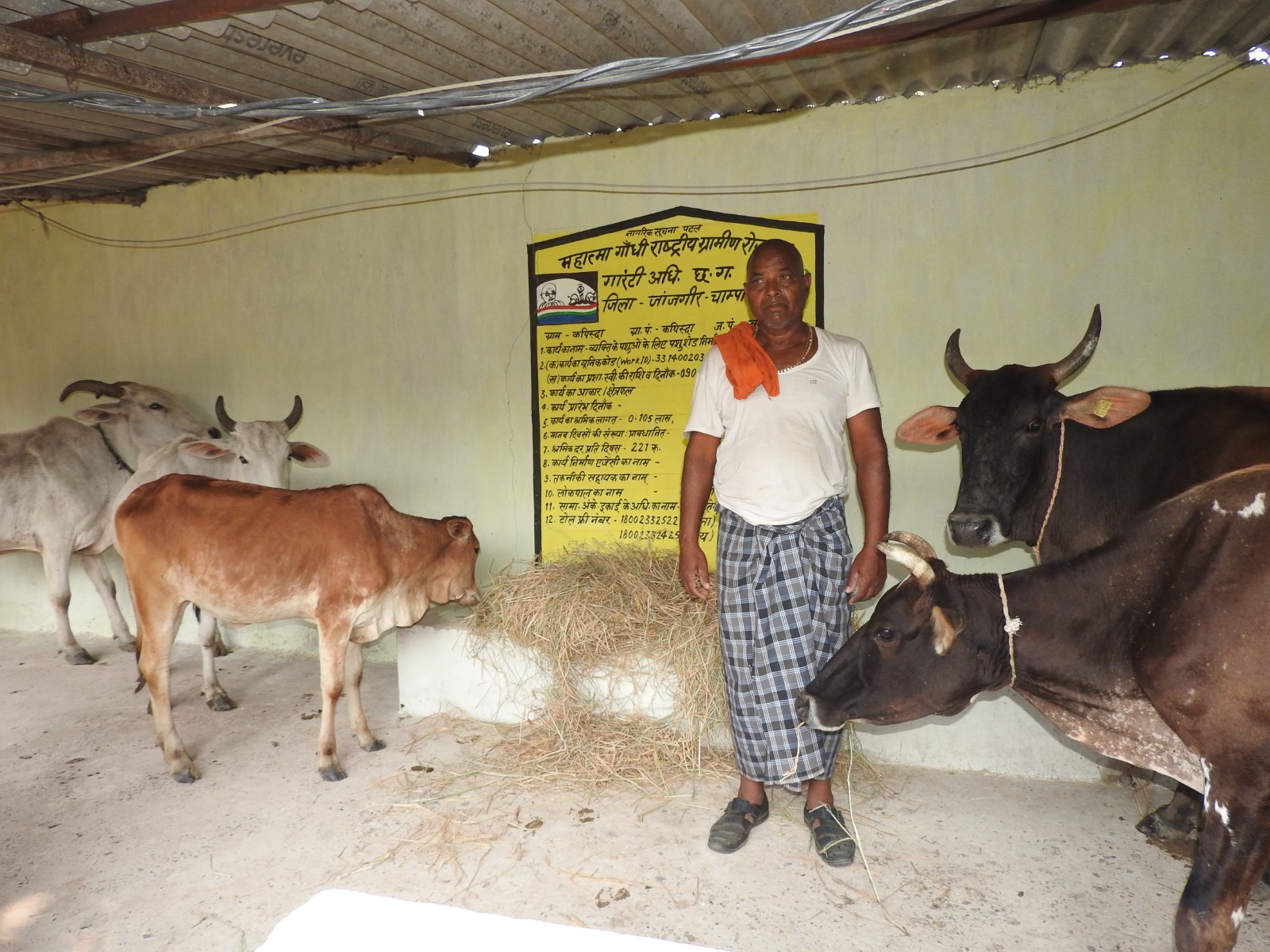 मनरेगा से बने पशु शेड ने गायपालन व्यवसाय को दी मजबूती