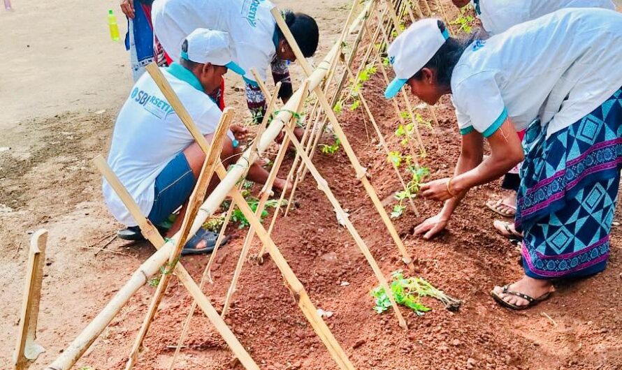 आत्मसमर्पित माओवादियों को मिल रहा रोजगारोन्मुखी प्रशिक्षण