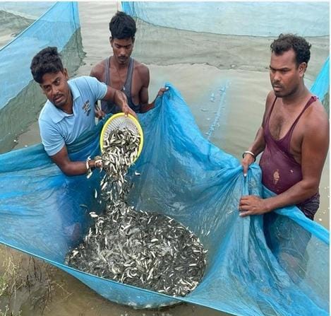 छत्तीसगढ़ का मत्स्य बीज हब बना कांकेर