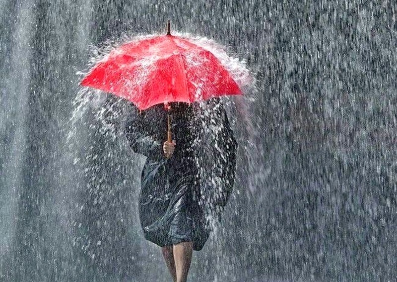छत्तीसगढ़ में अगले दो दिन भारी बारिश का अलर्ट, मौसम विभाग ने जारी किया रेड और ऑरेंज अलर्ट