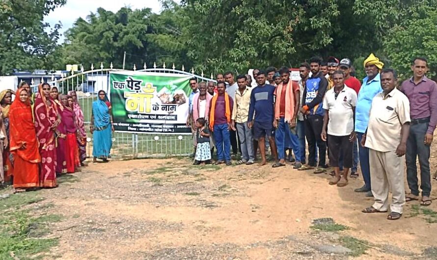 अमलीपाली ग्राम पंचायत: स्वच्छता, पर्यावरण और जनभागीदारी की मिसाल