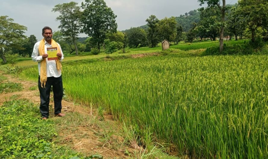 मिट्टी ने बदली तकदीर – बंजर ज़मीन पर लहलहाई हरियाली, किसान रामनारायण ने मनरेगा से रची सफलता की कहानी