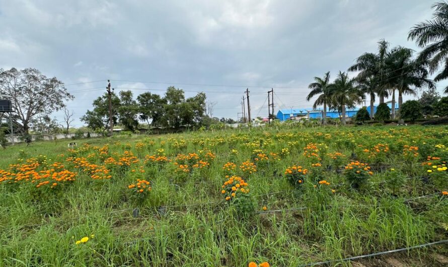 फसल चक्र परिवर्तन और प्राकृतिक खेती से होगा जल संरक्षण एवं किसानों की आय में वृद्धि – कलेक्टर
