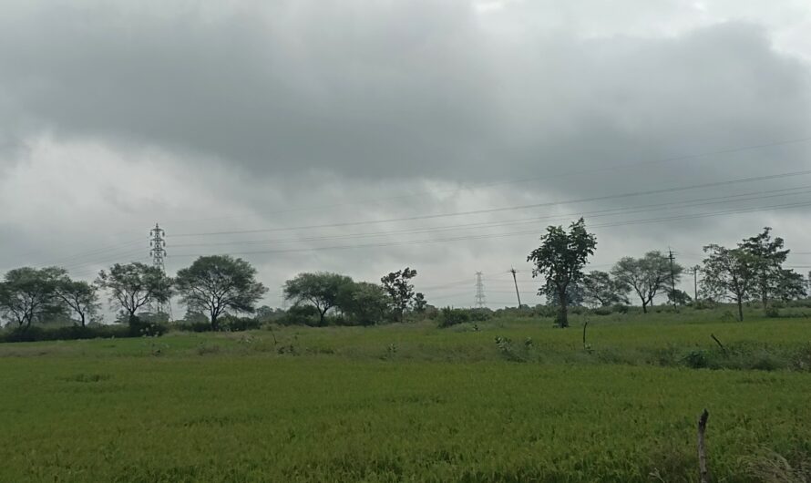 छत्तीसगढ़ में चक्रवाती तूफान मोंथा का दिखा असर, बे मौसम बारिश से किसानों के माथे पर चिंता की लकीर…