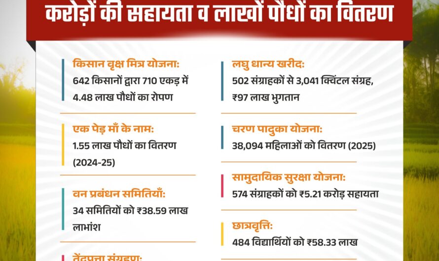 हरियाली से आर्थिक रूप से सशक्त हुए मोहला जिले के ग्रामीण