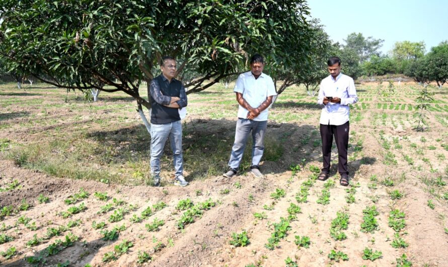 कलेक्टर महोबे पहुंचे प्रगतिशील किसान  छबी राम डडसेना के खेत