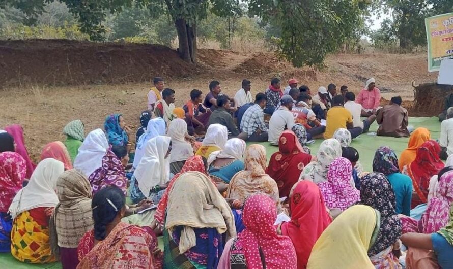 50 वर्षों बाद धमतरी के आदिवासी अंचल में रबी खेती की वापसी