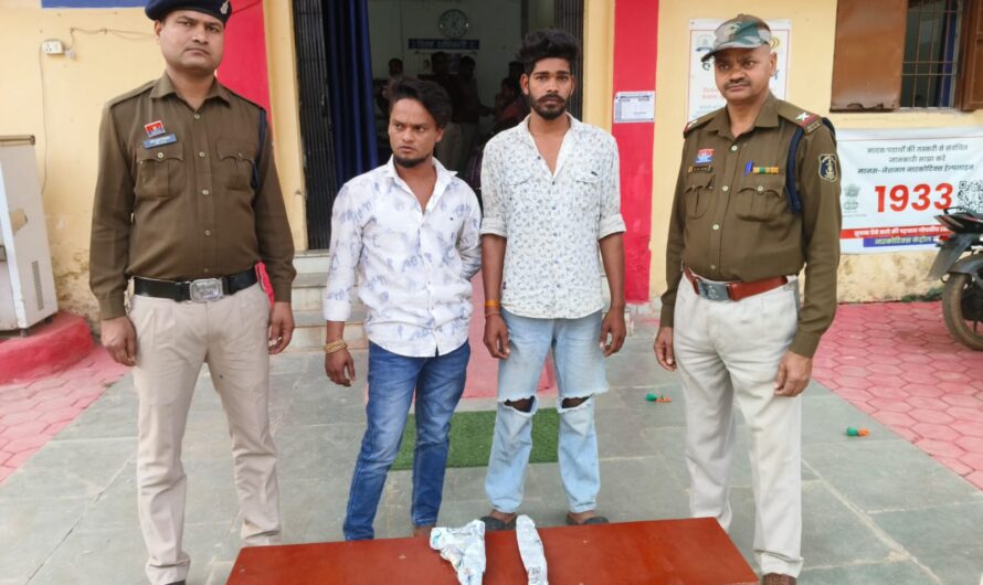 पामगढ थाना क्षेत्र के ग्राम चंण्डीपारा में लोहे का धारदार चाकू एवं एयरगन बंदूक लहराने वाले 02 युवक गिरफ्तार