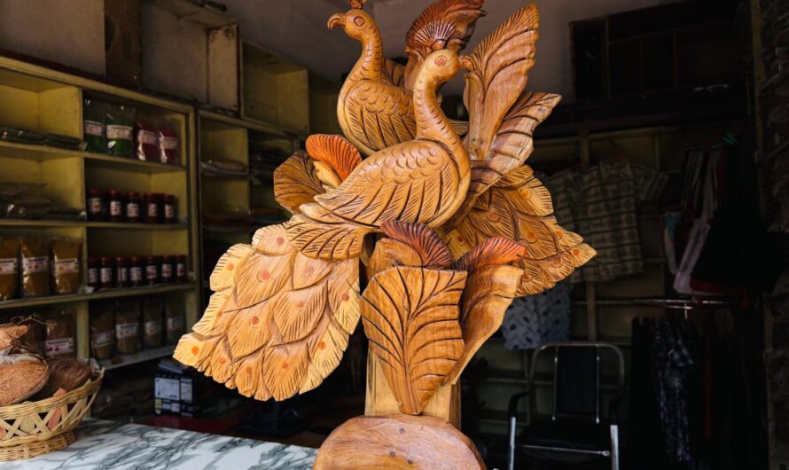 नाबार्ड की ‘ग्राम दुकान’ से स्व-सहायता समूह की महिलाएं बन रहीं आत्मनिर्भर