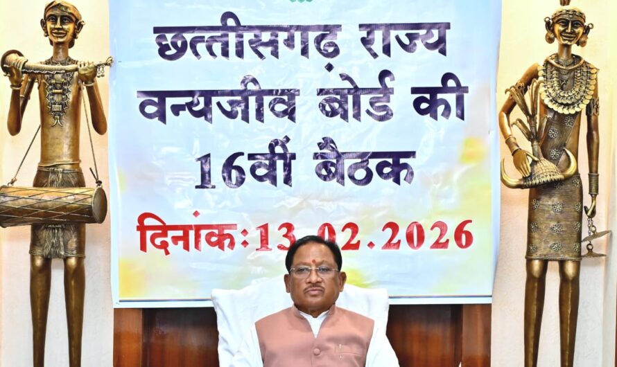 वन्यजीवों के प्राकृतिक आवास की सुरक्षा और सह-अस्तित्व के सिद्धांतों के अनुरूप हो सभी गतिविधियों का संचालन : मुख्यमंत्री साय