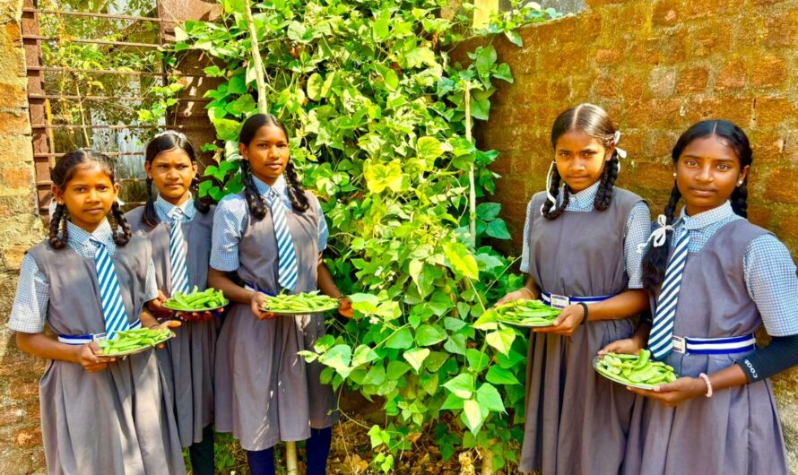 बच्चों को मिल रहा पौष्टिक आहार विद्यालय की बगिया 