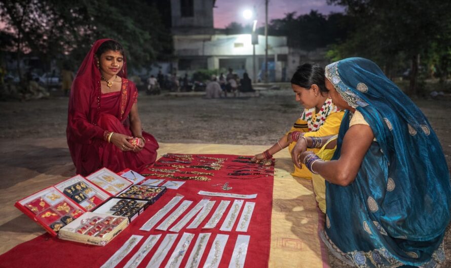 महतारी वंदन योजना से बदली जिंदगी, उर्मिला यादव बनीं आत्मनिर्भर