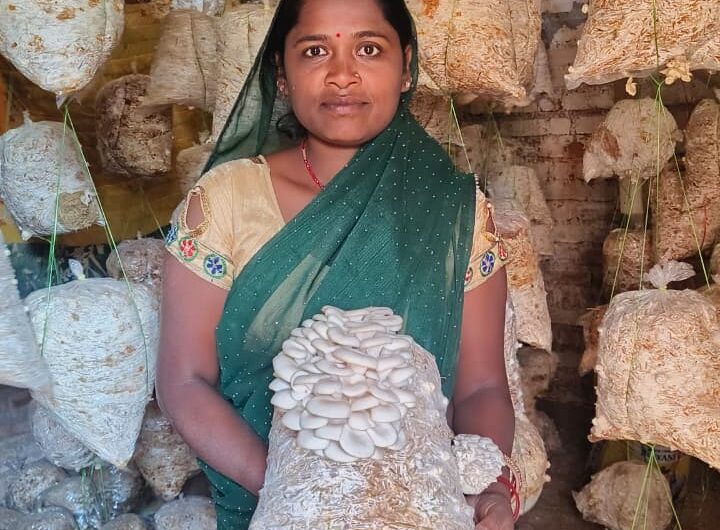 मजदूरी से मशरूम उत्पादन और अब स्वयं की दुकान से ‘लखपति दीदी’ बनीं बृहस्पति धुर्वे