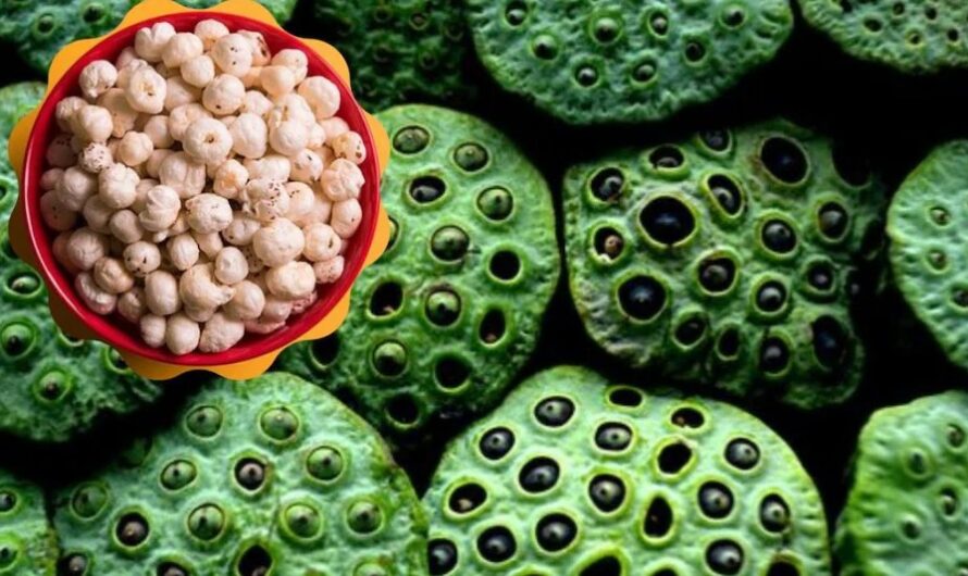 धमतरी को मखाना हब बनाने की दिशा में पहल: वनांचल क्षेत्र में आय के नए स्रोत- मखाना खेती से सशक्त होंगे महिला समूह